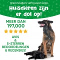 Pupex Ear Health Support